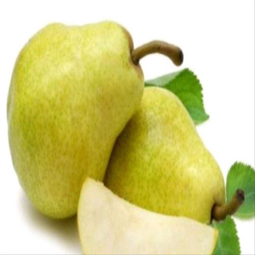 1 Benih Biji buah pear Hijau afrika