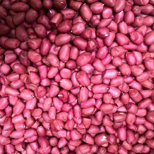 Jual Biji Benih Kacang Tanah Kulit Merah Benih Kacang Tanah Unggulan Red Peanut Biji