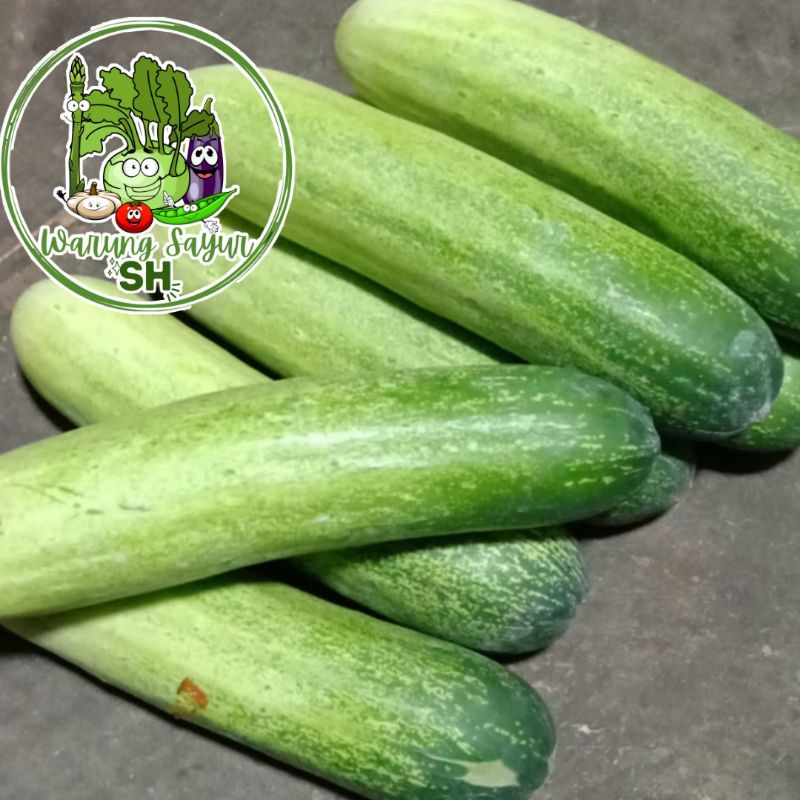 Jual Timun 1 kg | Fresh Vagetable | Shopee Indonesia