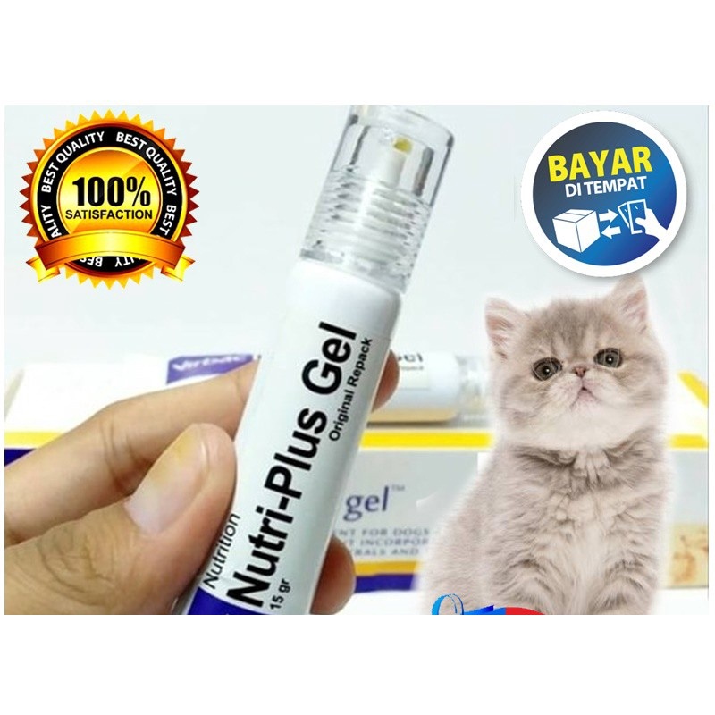 Jual Vitamin Kucing Anjing Nutri-Plus Gel 15gr Pelebat Penumbuh Bulu ...