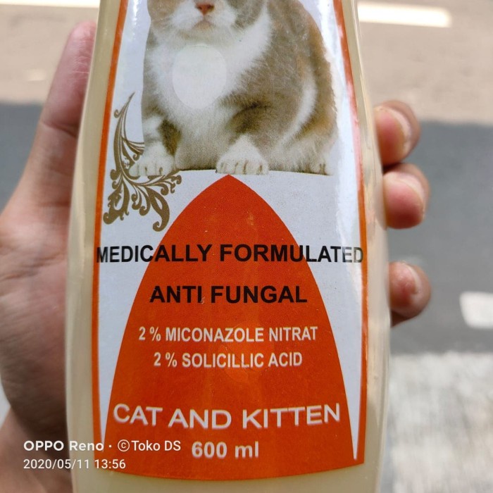Jual kucingshampo fungizol cat 600ml anti fungal shampoo anti jamur kucing shampoo cat
