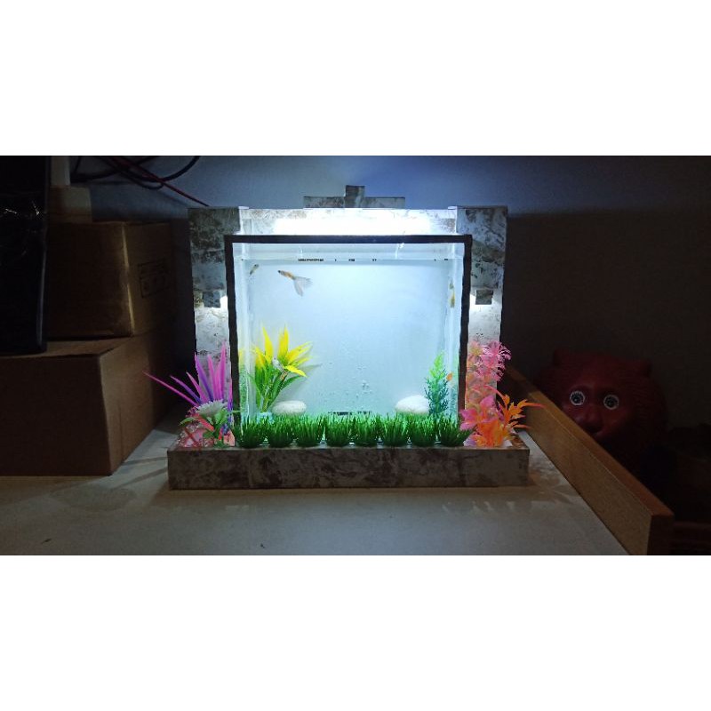 Jual Akuarium Mini Pvc Akrilik Dan Soliter Ikan Cupang Dan Ikan Hias Shopee Indonesia