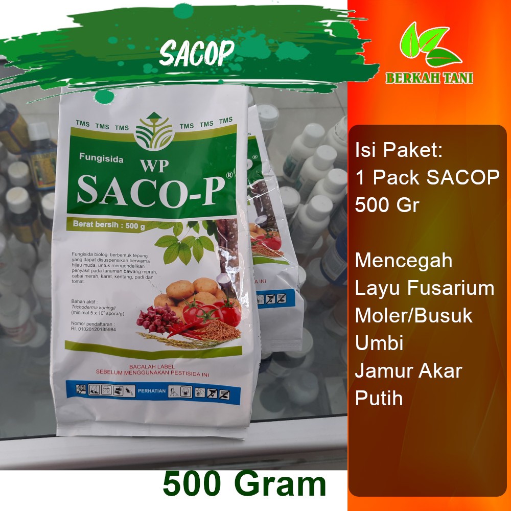 Brazzers 720p anal porno video