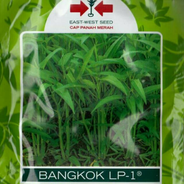 Jual Benih Kangkung Bangkok Lp1 Panah Merah Pack 1500 Biji Shopee