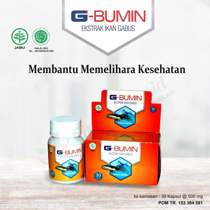 Jual G - Bumin - Ekstrak Ikan Gabus - 30 Kapsul | Shopee Indonesia