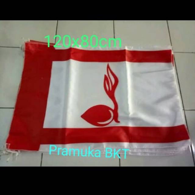 Jual Bendera tunas Pramuka 120x80cm 1 biji | Shopee Indonesia