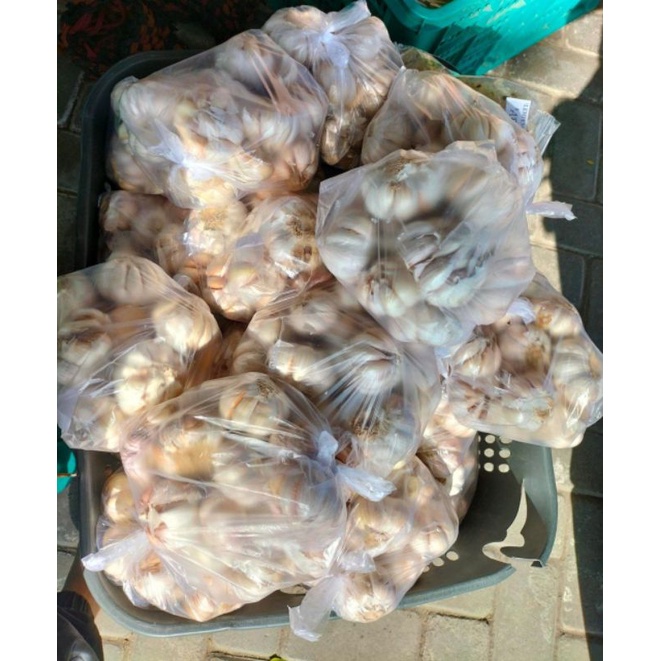 Jual Bawang Putih Sinco Kilo Bawang Putih Kg Shopee Indonesia