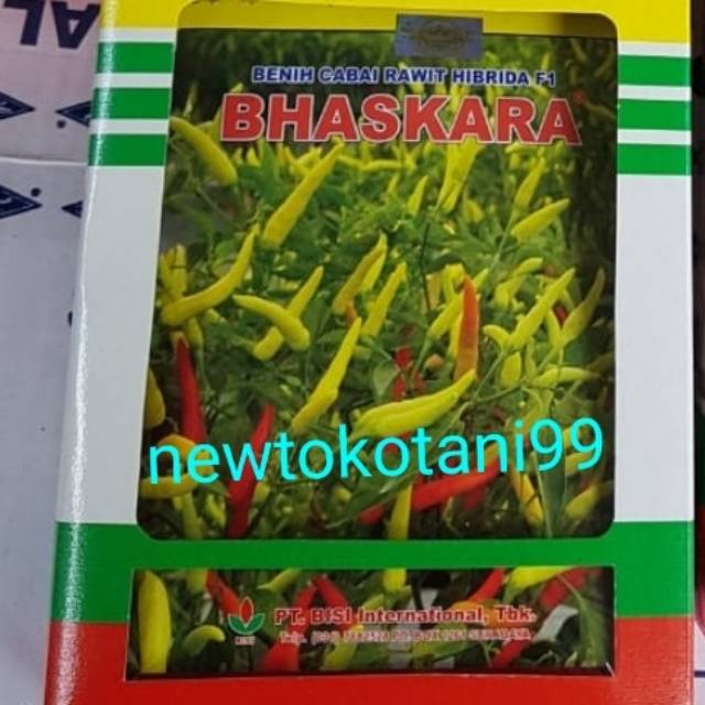 Jual Benih Cabe Rawit Putih Hibrida Bhaskara F1 10 Gram Cabai Baskara