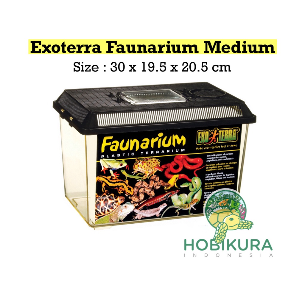 Jual Exoterra Faunarium M / Kandang Kotak Box Reptile Gecko Ular Kodok ...
