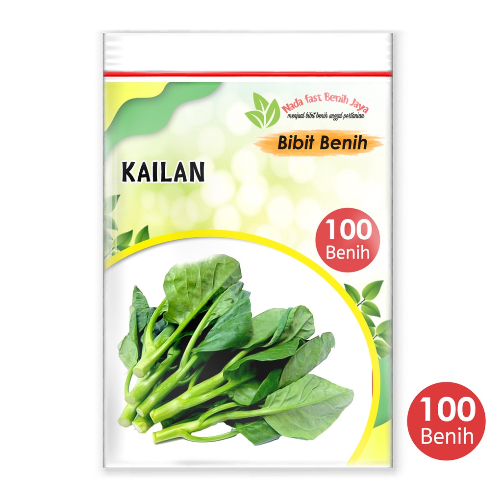 Nada fast benih jaya - 100 biji Benih bibit sayuran kailan unggulan / bisa ditanam hidroponik
