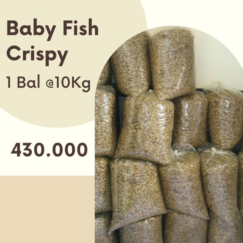 Jual Baby Fish | Baby Fish Crispy 10Kg | Baby Fish Ikan Nila Goreng