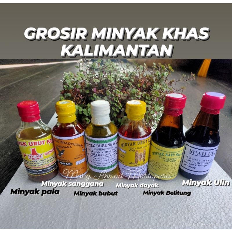 Jual [ Harga Grosir ] Minyak Herbal Kalimantan Minyak Pijat Khas ...