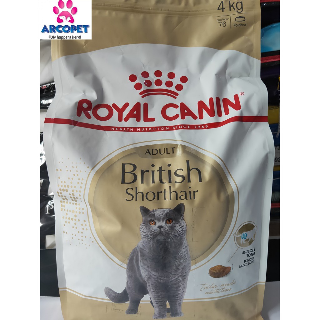 Makanan 2024 british shorthair