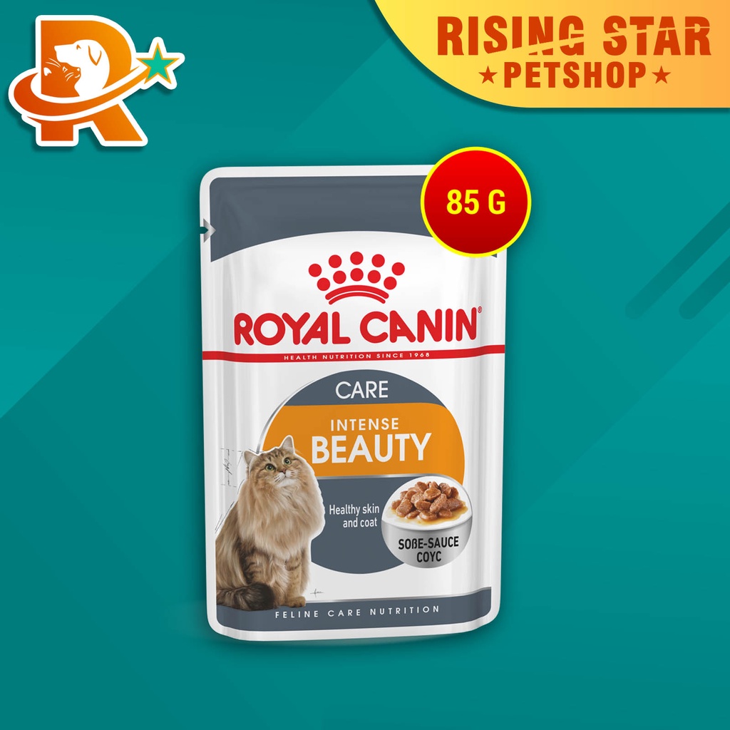 Jual royal canin intense beauty 85gr / makanan basah royal canin pouch