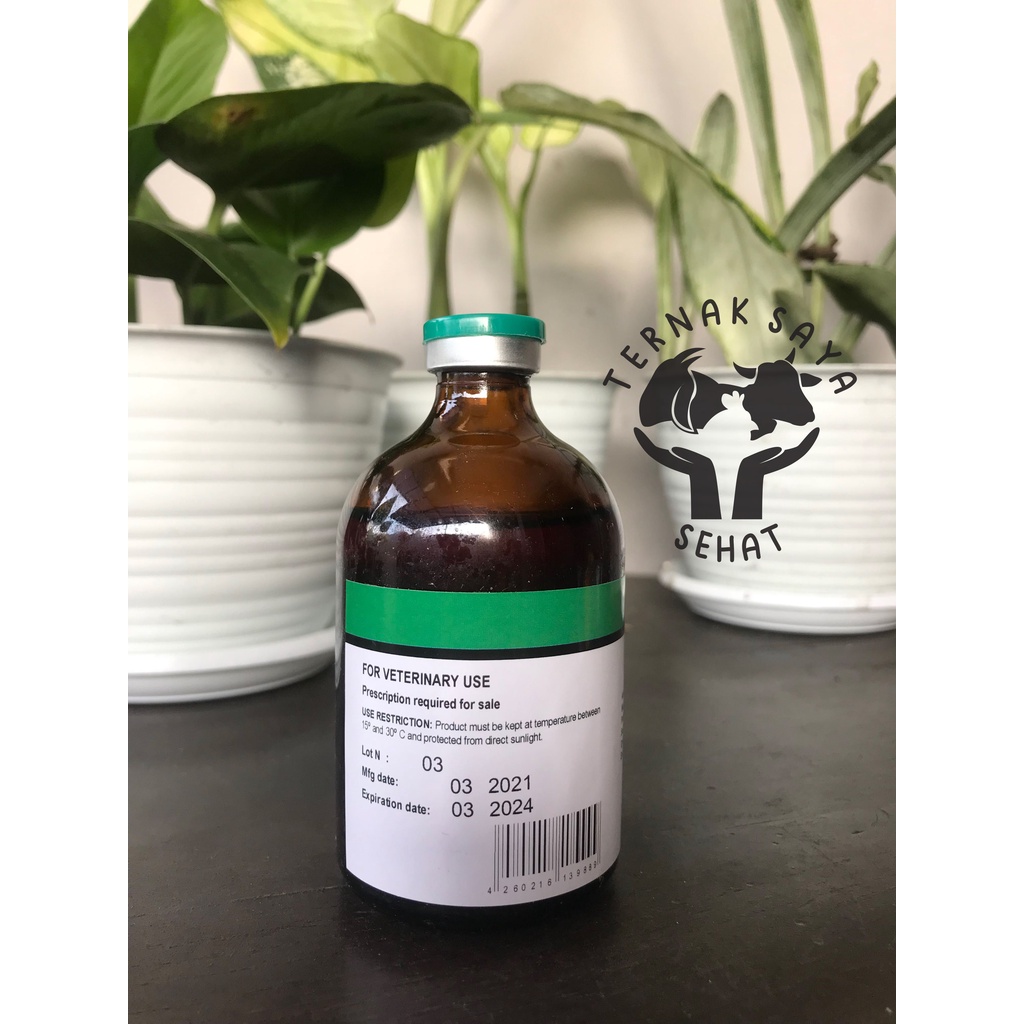 Jual RHEINBIO 100 ml Injeksi ATP Energi (Penguat Otot dan Stamina Hewan ...