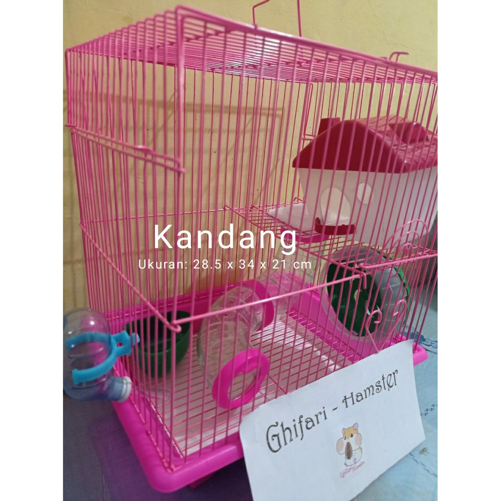 Jual Kandang Hamster Komplit / Rumah Hamster / Kandang Hamster ...