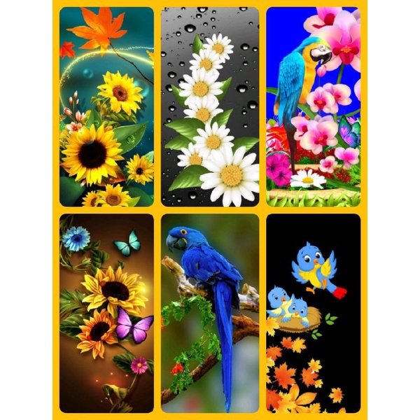 Jual stiker kaca lemari pemasangan dari dalam | Shopee Indonesia