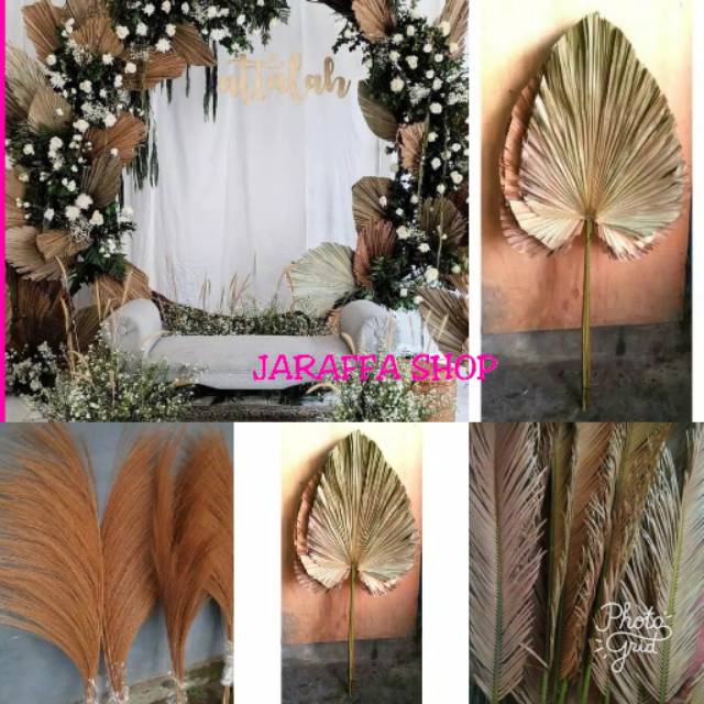 Jual JRA DAUN RUSTIC DAUN PALM JUMBO PALEM RUSTIK DAUN KERING DEKORASI