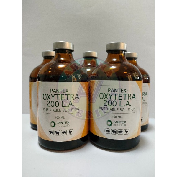 Jual Obat Hewan PANTEX-OXYTETRA 200 L.A. 100 Ml | Shopee Indonesia