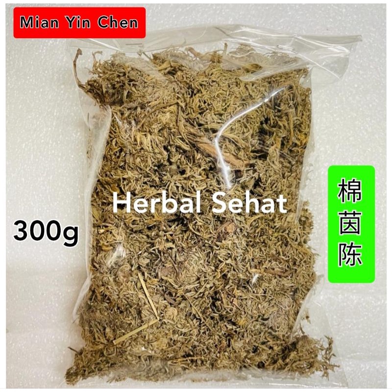 Jual Mian Yin Chen 300 gram / Artemisia / Mien Tin / Oriental Wormwood ...