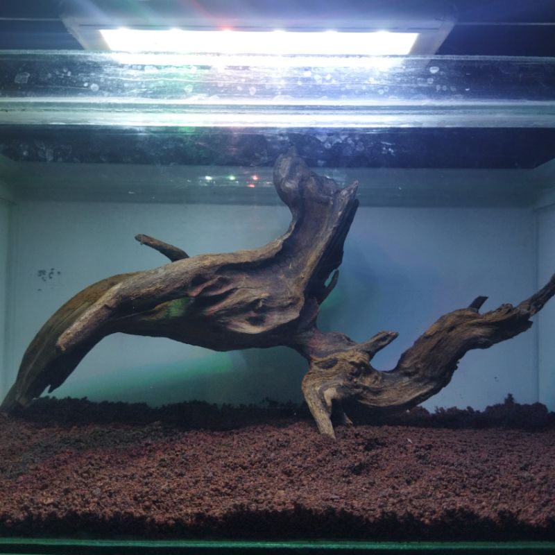Jual kayu tenggelam akar tenggelam kayu rentek tenggelam | Shopee Indonesia