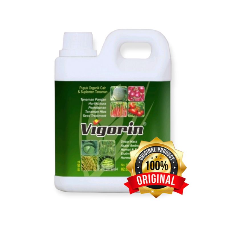 Jual Sayur Tinggi Terlengkap & Harga Terbaru Mei 2026 | Shopee Indonesia