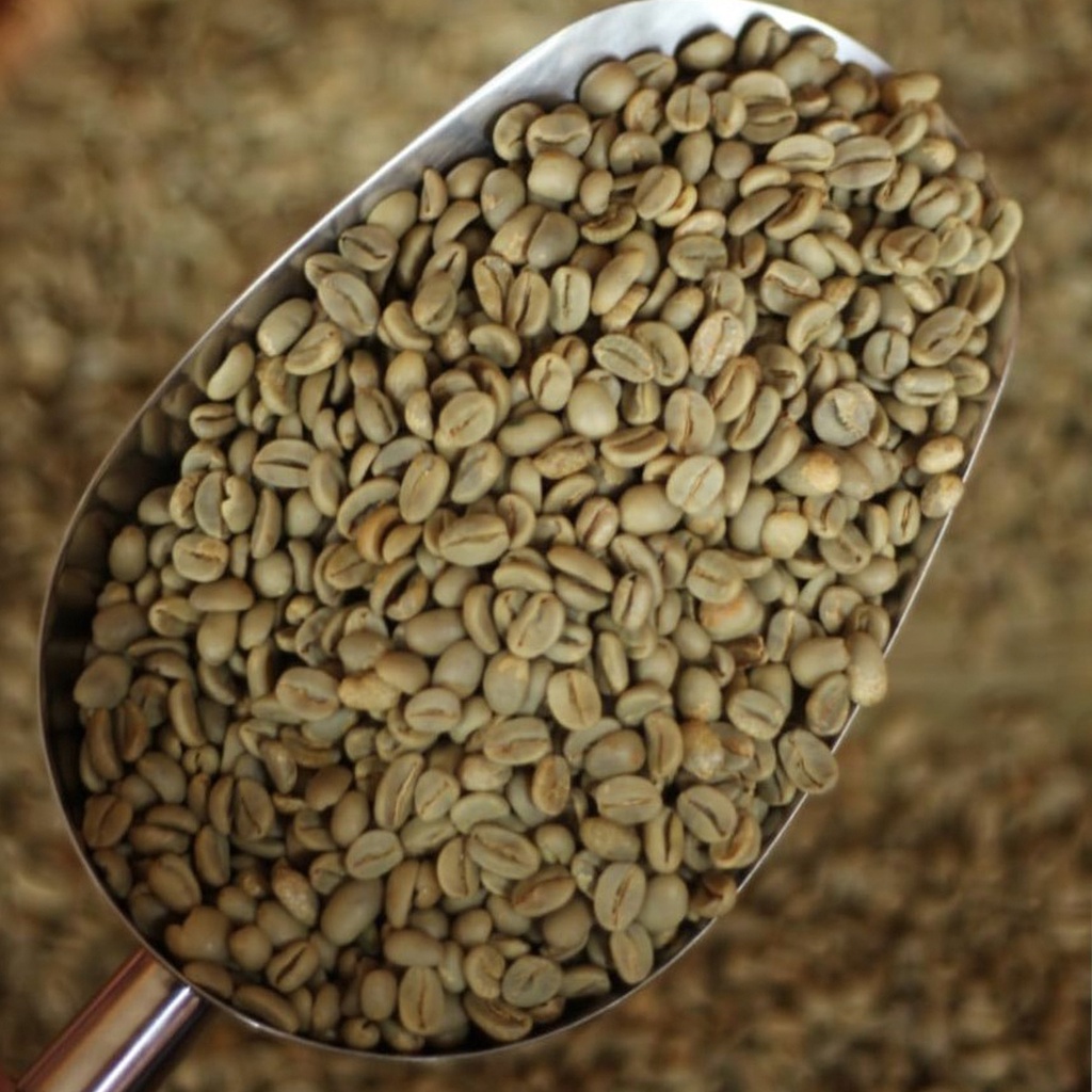 Jual Aza Coffee Biji Green Bean Kopi Arabika Aceh Gayo Natural 1Kg ...
