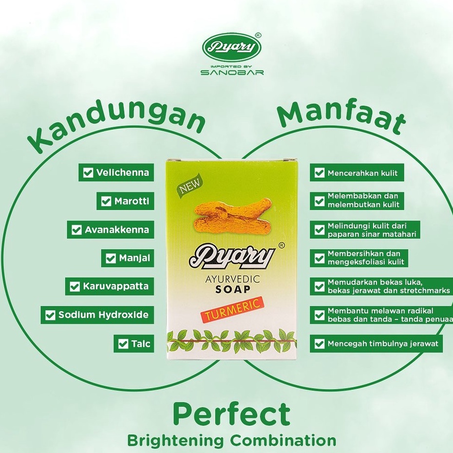 Jual Sabun Arab Pyary Turmeric Soap Nalpamara Herbal Soap Sabun Pyari ...