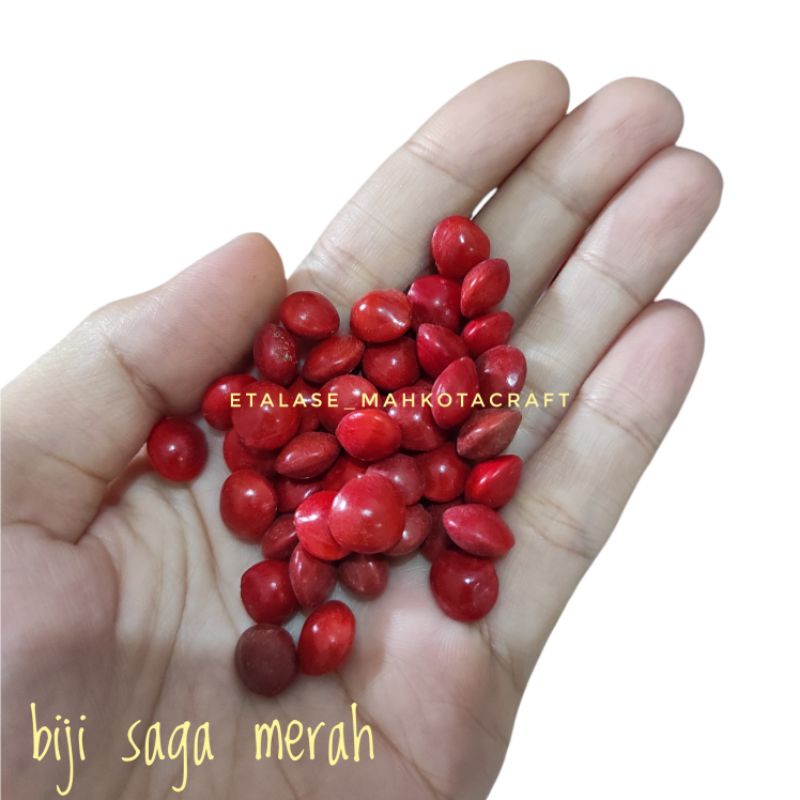 Jual biji bijian kering / biji kolase / food fotography / biji saga ...