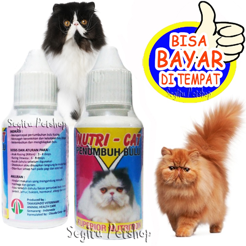 Jual Vitamin Penumbuh Bulu Kucing Obat Bulu Rontok Botak Kitten Nutri