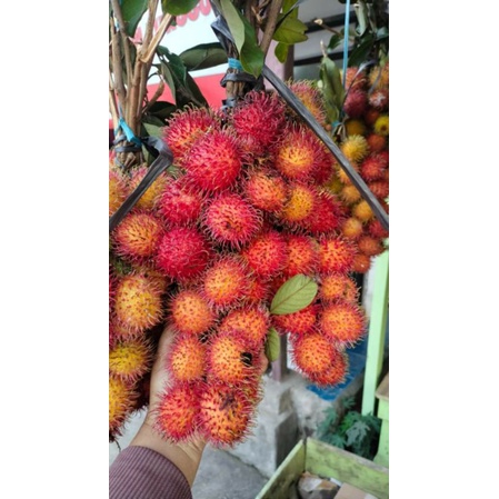 Jual rambutan manis | Shopee Indonesia