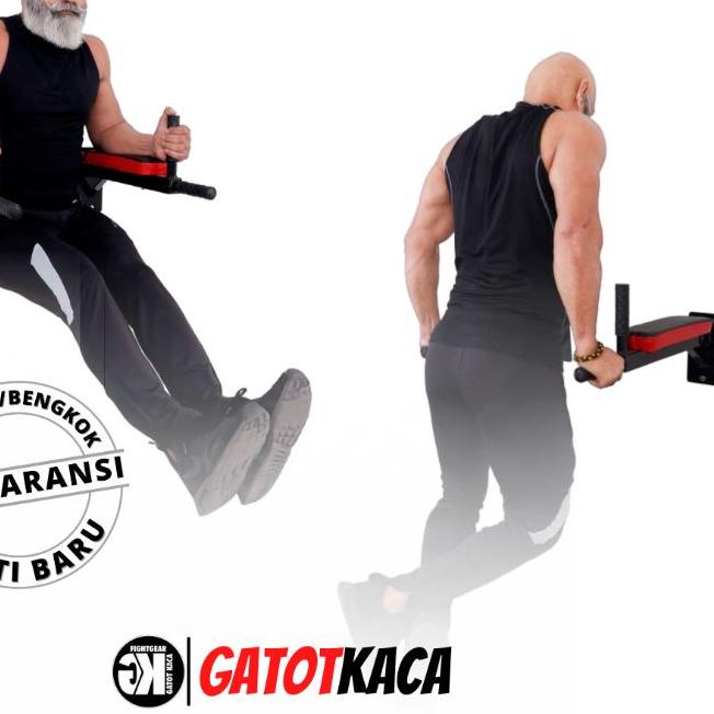 Jual EXCLUSIVE!DIPS BAR / KNEE RAISE BARS / TRICEPS LEG RAISE GYMRA9