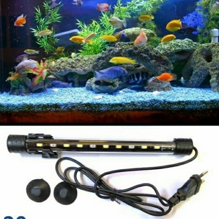 Jual Lampu Celup Led Aquarium Aquascape Kolam 20 - 100 Cm Submersible ...