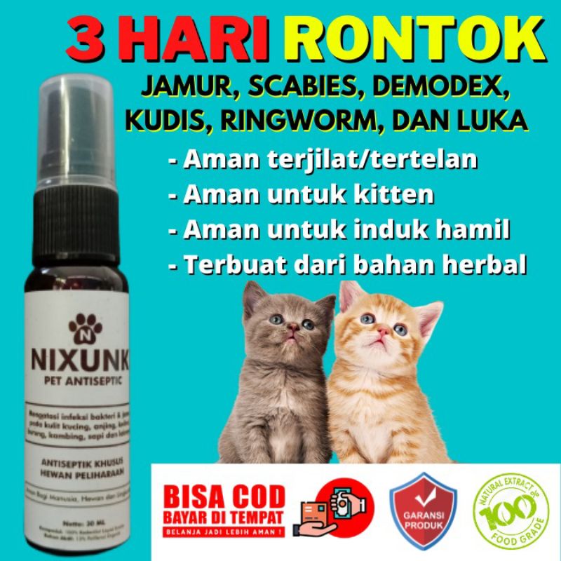 Jual Obat Jamur Kucing Anjing Kelinci Obat Scabies Demodex Ampuh Obat ...