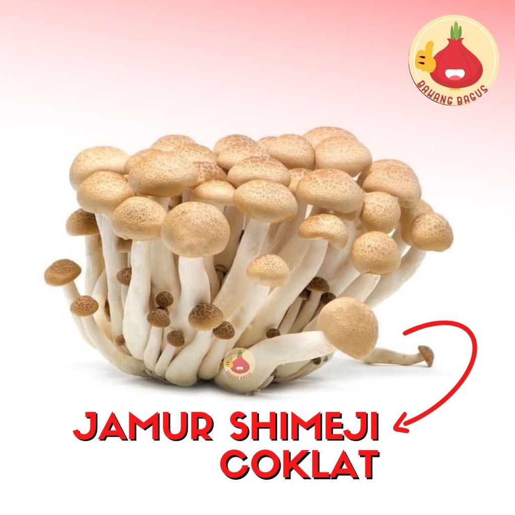 Jual Jamur Shimeji Coklat Segar 1Bks Bawangbagus Shopee Indonesia