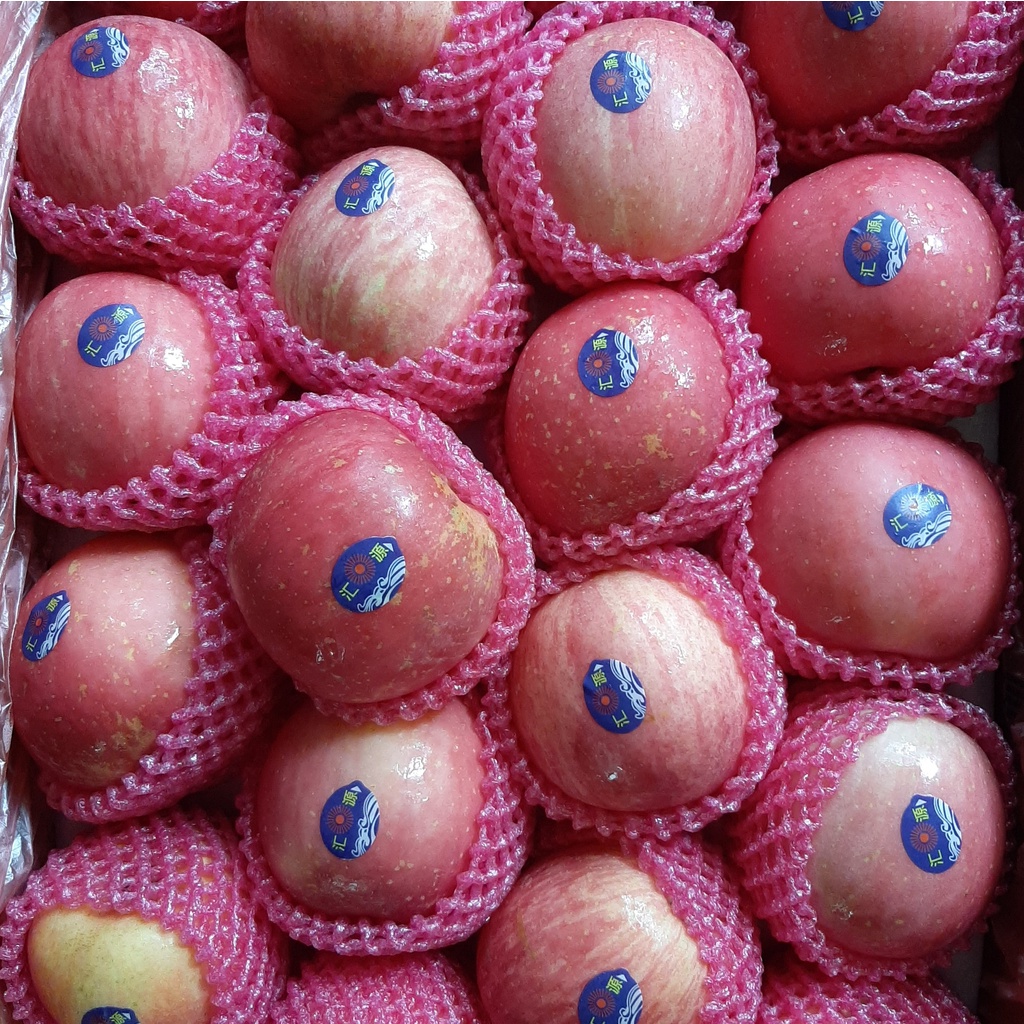Jual Apel Fuji RRC/ Buah Segar Import | Shopee Indonesia