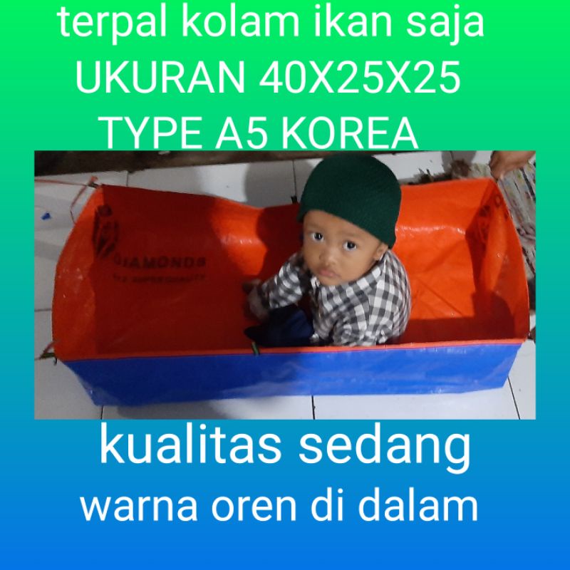 Jual Terpal Kolam Ikan Mini Ukuran X X Type A Korea Warna Dan Oren Di Dalamnya Kualitas