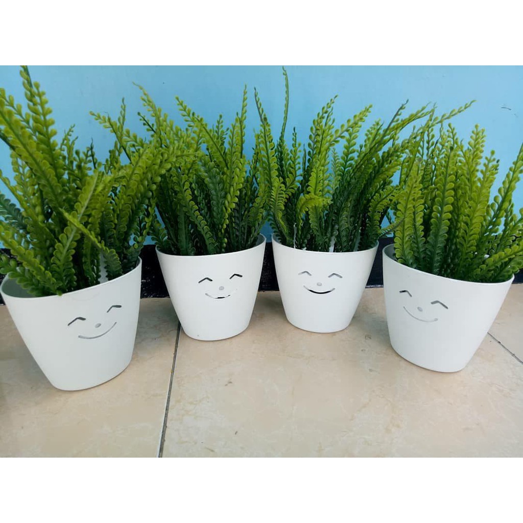 Jual Daun Plastik Pete Cina Pot Smile / bunga artificial rumput ...