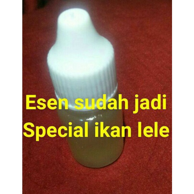 Jual esen ikan lele sudah jadi | Shopee Indonesia