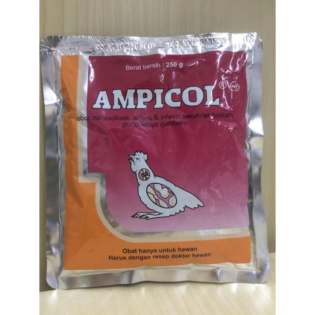 Jual AMPICOL | Shopee Indonesia