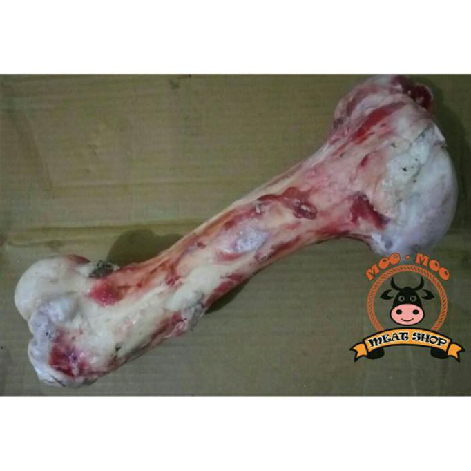 Jual Tulang Sumsum Paha Sapi | Shopee Indonesia