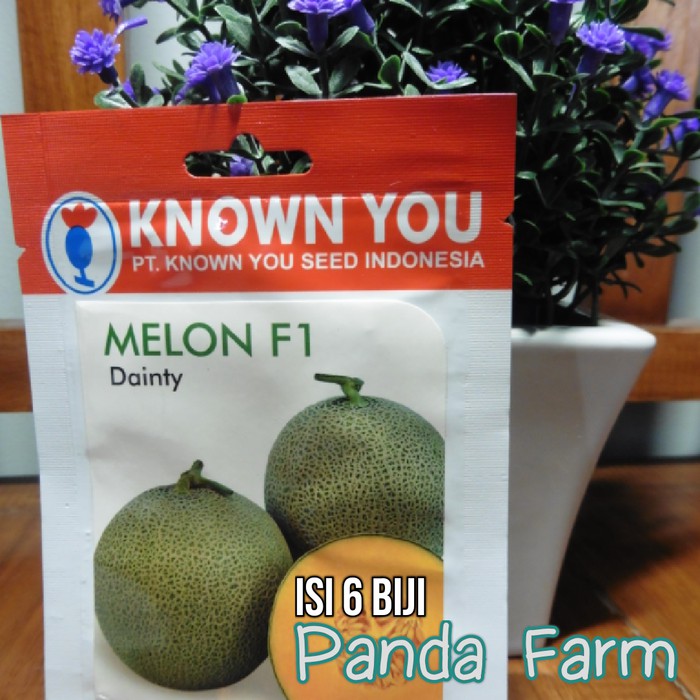 Jual Benih Biji Bibit Melon F1 Tt Dragon Known You Seed Shopee Indonesia 