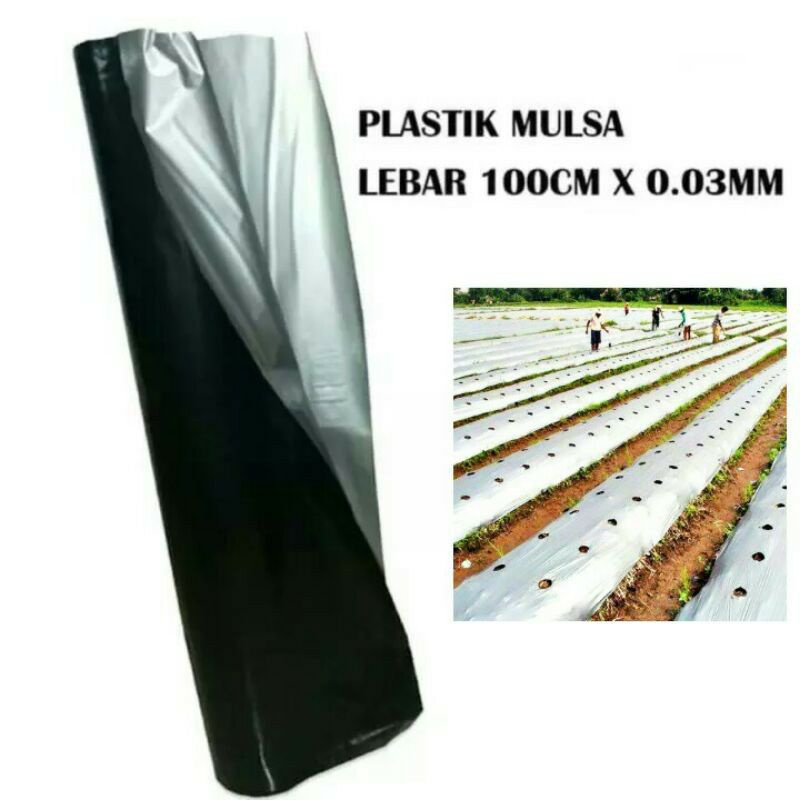 Jual Plastik Mulsa Tanaman Hitam Perak - Plastik Mulsa Bedengan Lebar ...