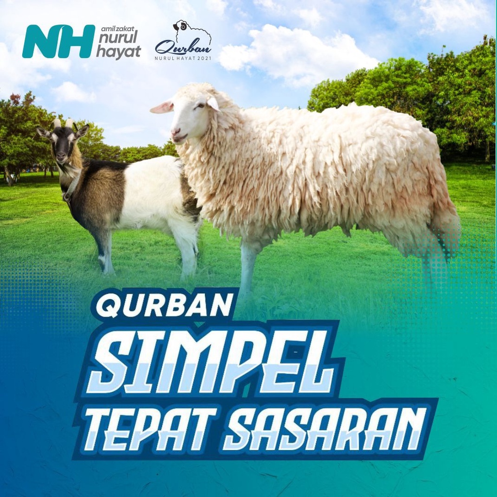 Jual Kambing/ Domba Qurban Premium Nurul Hayat | Shopee Indonesia