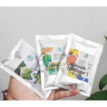 Pupuk Bunga & Buah Osmocote Dekastar 6-13-25 50gram - BEST PRODUCT