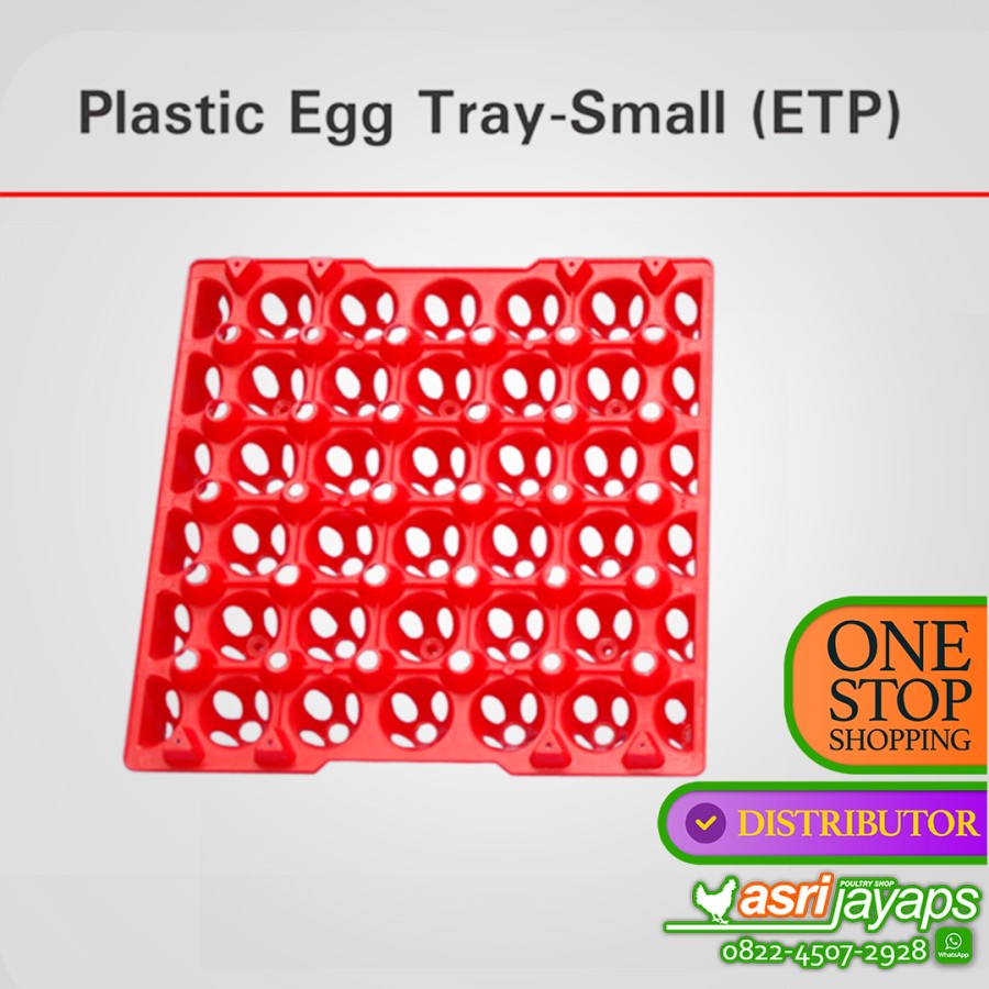 Jual Egg Tray Trey Rak Telur Plastik AYAM BEBEK Isi 30 Medion Grade