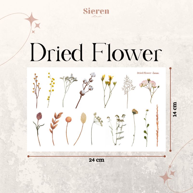 Jual Transparent Sticker Dried Flowers | Stiker Transparan Bunga Kering ...