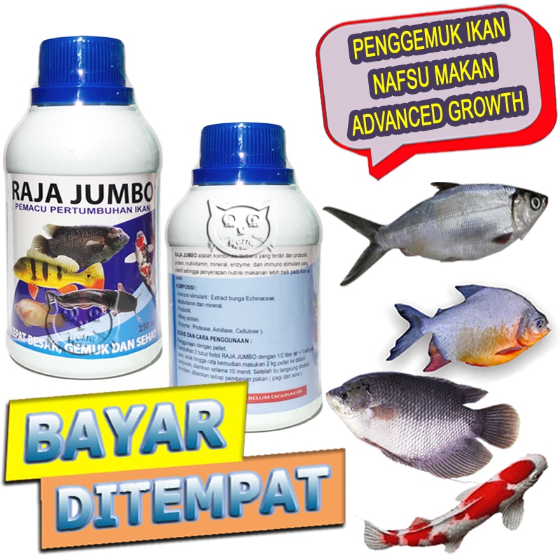 Jual Raja Jumbo Vitamin Pertumbuhan Ikan Obat Penggemuk Nafsu Makan ...