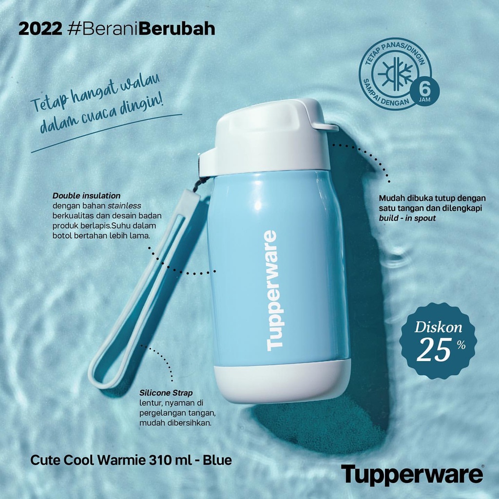 Jual CUTE COOL WARMIE Tupperware THERMOS 330ml - BLUE/PINK | Shopee ...