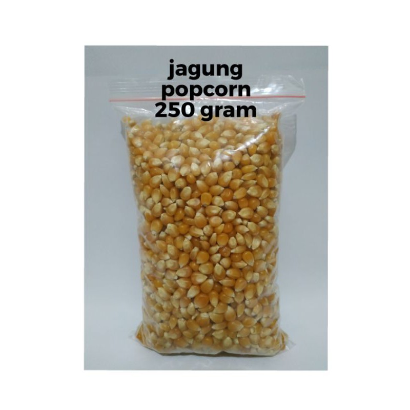 Jual Jagung popcorn | Shopee Indonesia